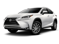 Eva коврики для Lexus NX 300 I Рестайлинг 2017-2021